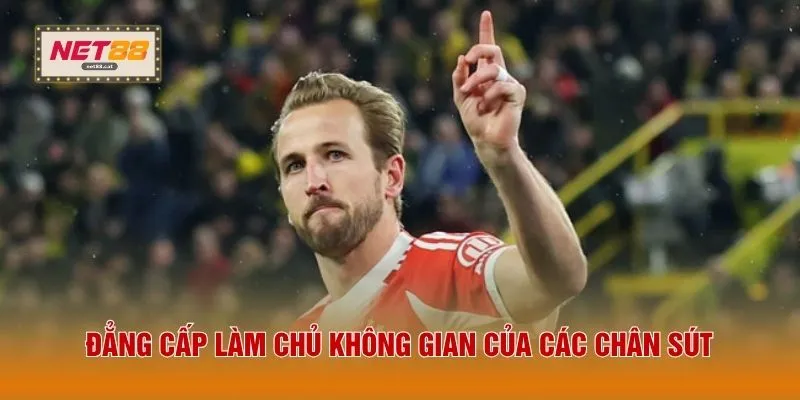 Tiền Đạo Là Gì? 3 Tố Chất Cần Có Của "Sát Thủ" Vòng Cấm 4 Đẳng cấp làm chủ không gian của các chân sút
